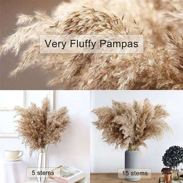 60 Stems Dried Pampas Grass, Flower Grass, 43 cm Bulk Decorative Flowers Dried Plants