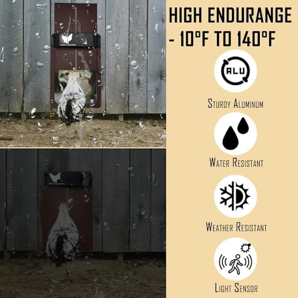 Automatic Chicken Coop Door Solar Powered Opener With Light Sensor Full Aluminum Waterproof For Chickens Ducks Geese