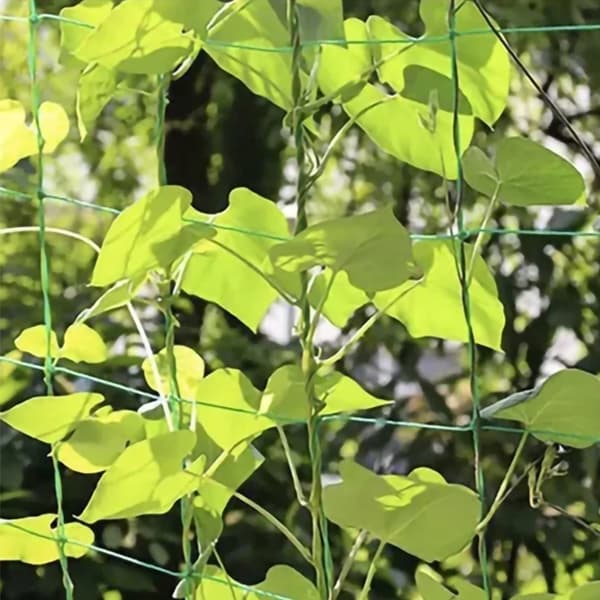 Plantenet / Støttenet til planter - 2x20m