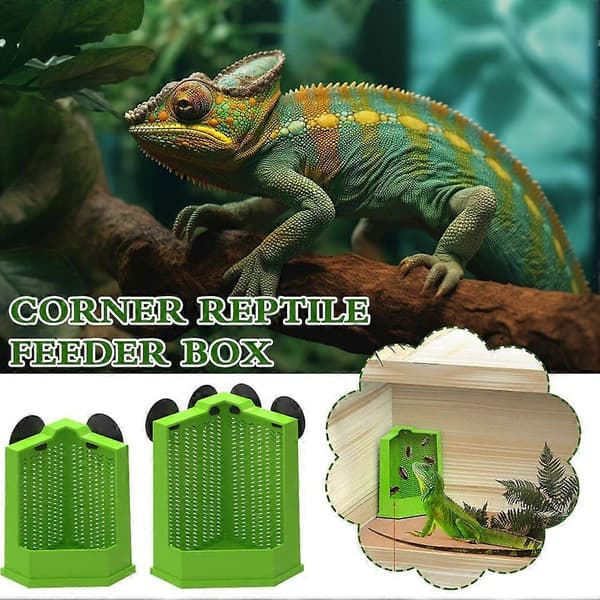 Small Lizard Gecko Bearded 2026 Global Trend - Sustainable Design Optimized for High-Performance Use. S 1pcs S 1pcs