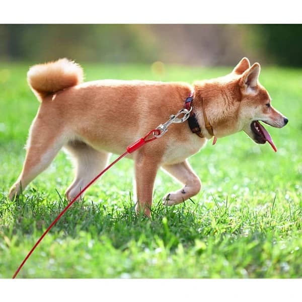 Hundebåndkabel 9m, Kraftig, Reflekterende, Rustfri Hundesnor Opptil 56kg