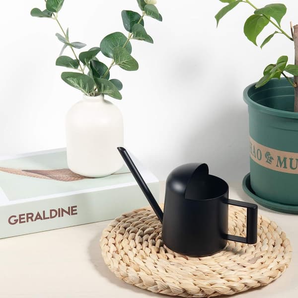 Vandkande i rustfrit stål, 300 ml, med lang hals til planter, indendørs planter, Pa KLB