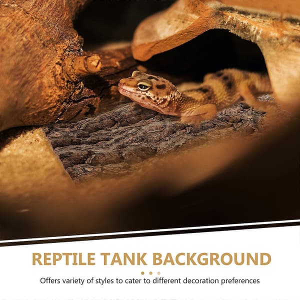 Krybdyrtank Baggrund Terrarium Baggrund Krybdyrbark Krybdyrkork Krybdyrtilbehør