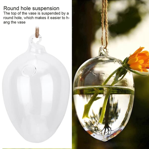 Hanging Plants Planter Flower Vase Wall Hydroponic Fish Tank Container Home Decor