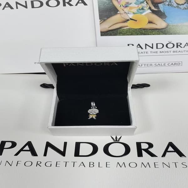 Pandora Moments Hengeberlock 763602C00 Barn