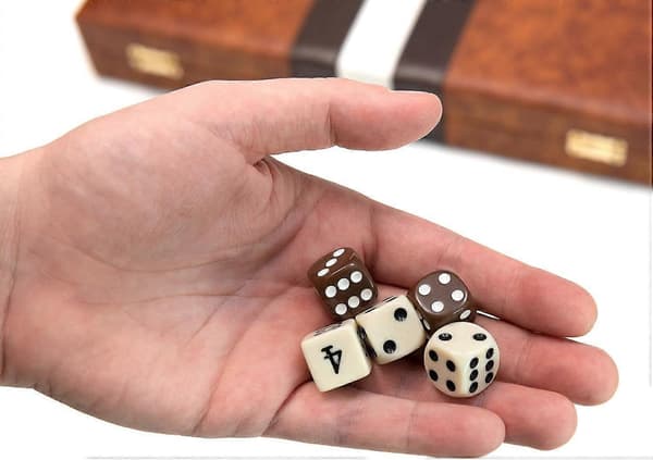 Backgammon brettspill, Deluxe skinnlignende etui, filtinteriør, brun, klassisk