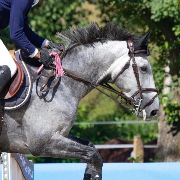 2 st Hästpiska Ridpiska Läder Ridpiska