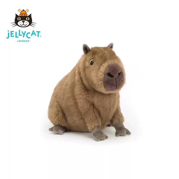 Jellycat kapybaraplysjleketøy, 21 cm