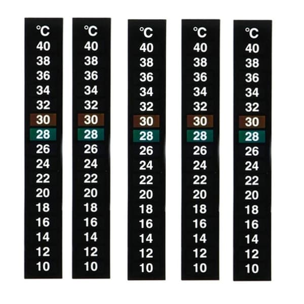 5-pak tradisjonelle digitale klistretermometre med Celsius-system