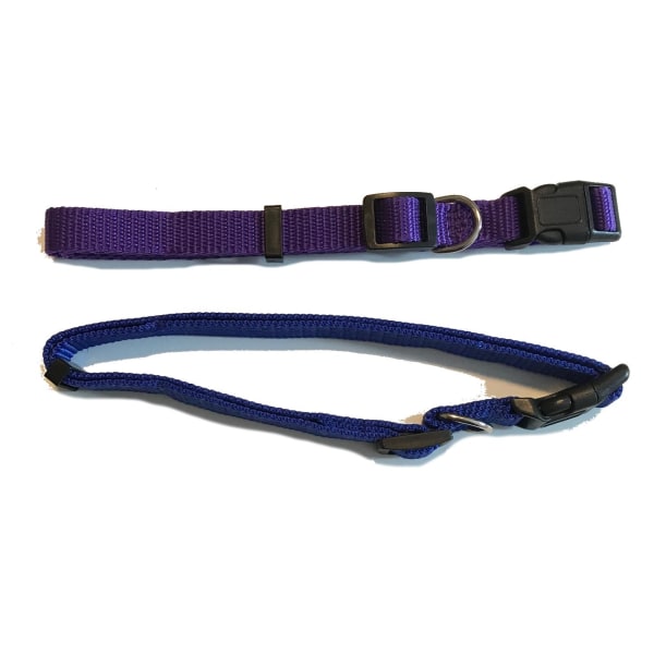 large 2 pack hundhalsband lila blå