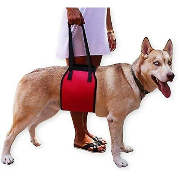 Hundstöd Hundlyftstödsele