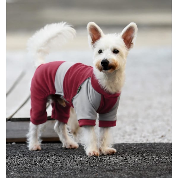 Hundpyjamas med reflexrand. Hundvinterkläder för små hundar