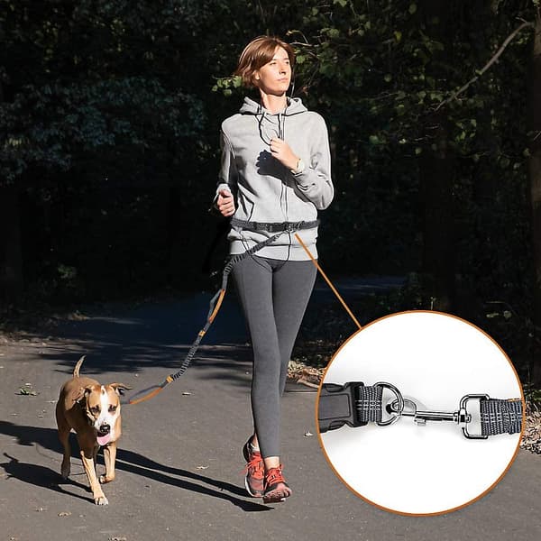 Händerfri hundkoppel, justerbart elastiskt joggingkoppel med reflekterande sömmar för hundar upp till 110 kg