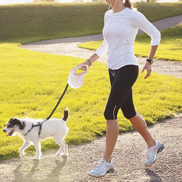 Hundkoppel 3M, Slitstarkt infällbart koppel i nylon, grön