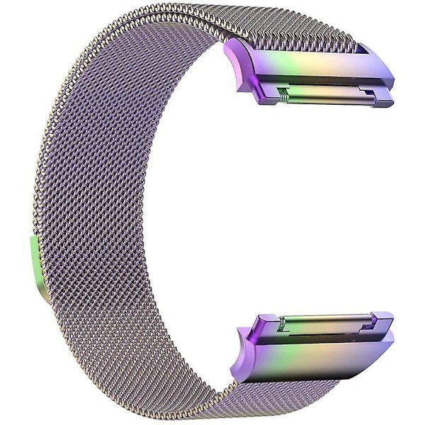 Fitbit Ionic Milanese watch , pieni koko: 20,6 x 2,2 cm Colorful