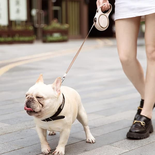 Infällbart hundkoppel med 10 fot Small Pet Walk-bälte 360 ​​trasselfritt Lämplig