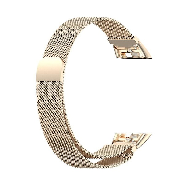 Magnetisk løkkerem til Huawei Band 6/6 Pro Huawei Band6 Smartwatch Correa Metal Rustfrit stål Armbånd Honor Band 6 Rem champagne For Huawei Band 6