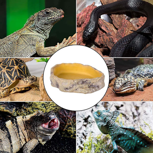 Krybdyr vandskål Padder Reptil fodringsskål stor (11 X 8 X 2,4)
