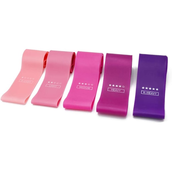 Premium Resistance Band Set för Träning av Ben och Rumpa, Fysisk Träning, Stretch med Bärväska och Instruktionsguide, 12 Lila Gradienter