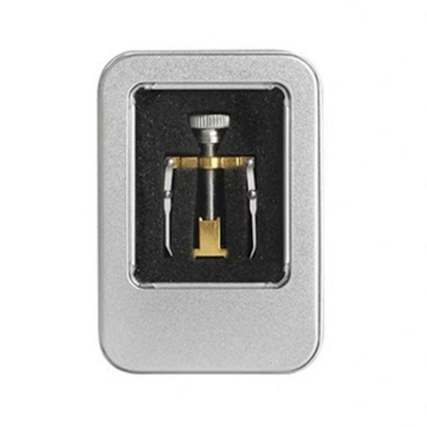 Ingrodd tånagel Corrector Lifter Tool Pedikyr Tånagel Fot Nagelvård Gold