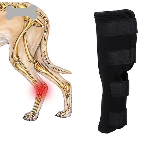 1 st Hund Hock Brace Sleeve Husdjur Stödjande Kompressionsben Led Wrap Protector S