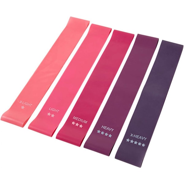 Premium Resistance Band Set för Träning av Ben och Rumpa, Fysisk Träning, Stretch med Bärväska och Instruktionsguide, 12 Lila Gradienter