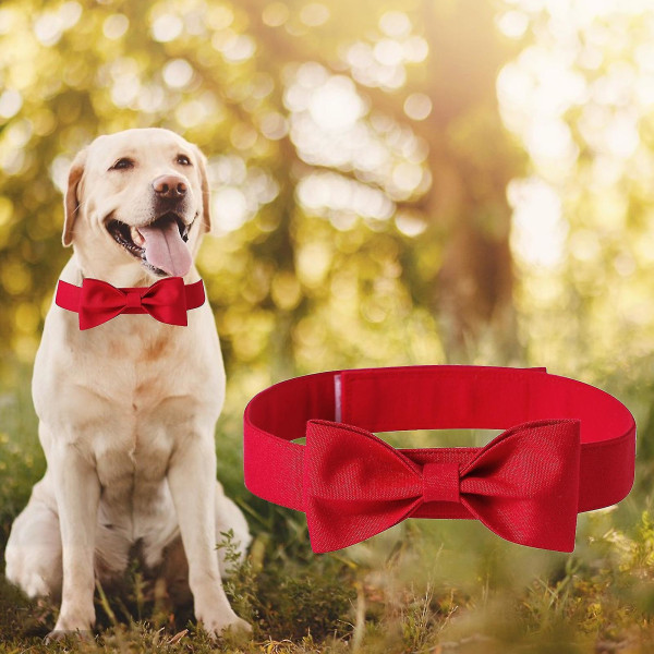 Hundehalsbånd ensfarvede justerbare hovedbeklædning Pet sløjfehalsbånd Hundetilbehør til bryllupsfest Red S