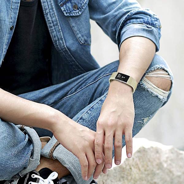 Udskiftningsbånd, der er kompatible med Fitbit Charge 2, Classic & Special Edition justerbare sportsarmbånd Metal-Gold Small