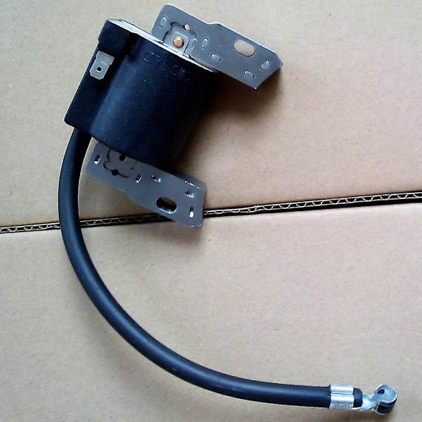 Ignition Briggs &stratton 398593, 496914, 591420, 793281, 793295