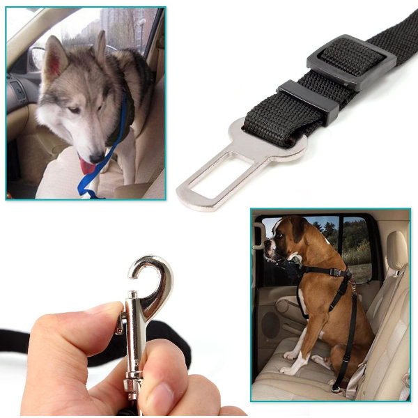 2x Hund/kat/kæledyr Sikkerhedssele Snor til Autostole - Sort