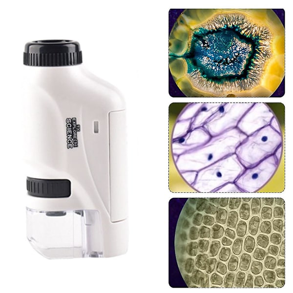 Handhållen mikroskop 60-120x fickmikroskop LED-ljus bärbar mini-mikroskop White