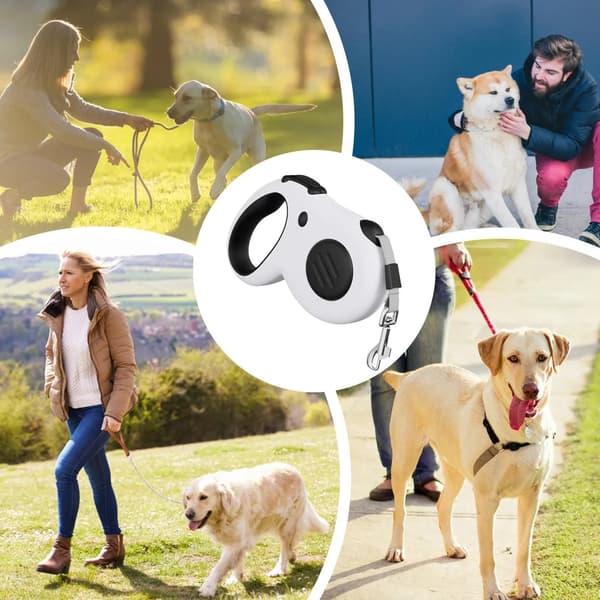 Hundkoppel, Slitstarkt Trasselfritt Infällbart Hundkoppel, blå/5M