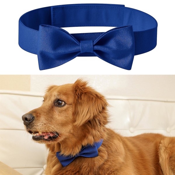 Dog Neck Tie Ensfarge Justerbar Hode Wear Pet Sløyfe Halsbånd Hundetilbehør for bryllupsfest Cyan M