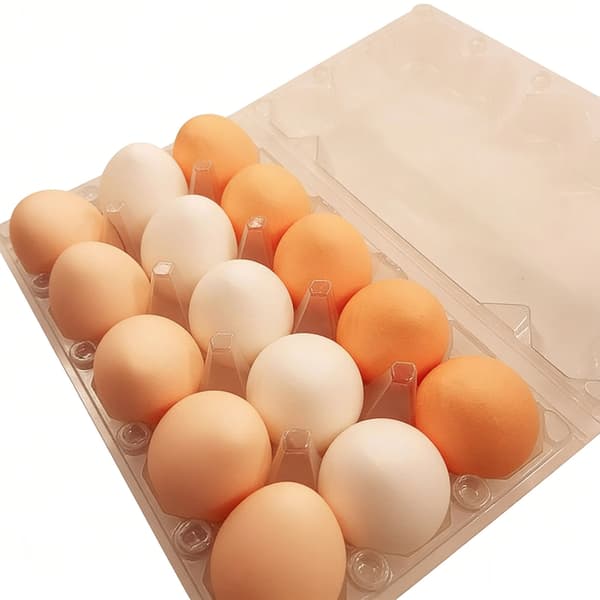 Nyhed Bold Stressaflastere Bløde Hoppende Håndlegetøj Bilpynt til Familiesjov null - 15 pieces per box