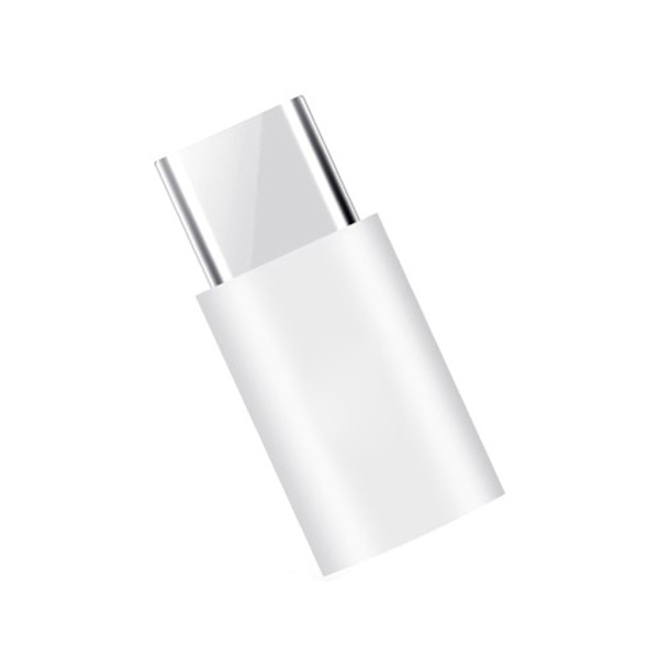 Mini USB til Type-C Konverter Universel Bærbar Hun til Han Stik Adapter