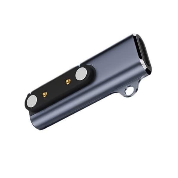 Type C til 2P/4P Magnetisk Adapter til Knogleledningshovedtelefoner 7,62 mm Afstand null - 2 needles
