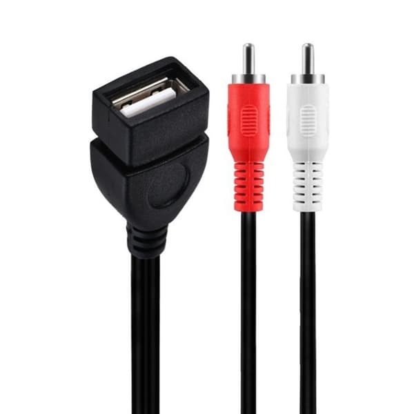USB2.0 til 2RCA Lydkabel 2RCA Kabel Han til USB Konvertere Videokabel 0.3m