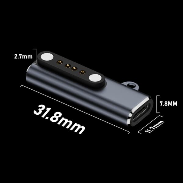 Typ C till 2P/4P Magnetisk Adapter för Benledningshörlurar 7.62mm Avstånd null - 2 needles
