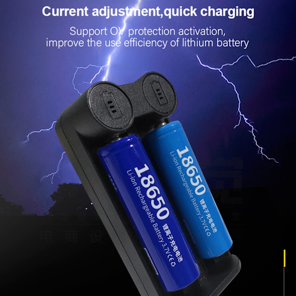 5V 2A Batteriladdare Li-ion Batteriladdningsdocka 2 Fack för 18650 16340 2665