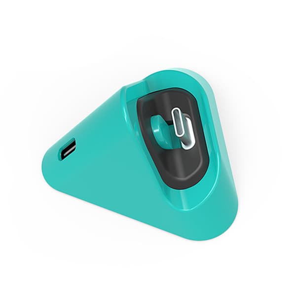 Bärbar Laddningsdocka Typ C Laddstation Basstativ Snabb Laddningsvagga för Switch Lite/Switch Silver gray