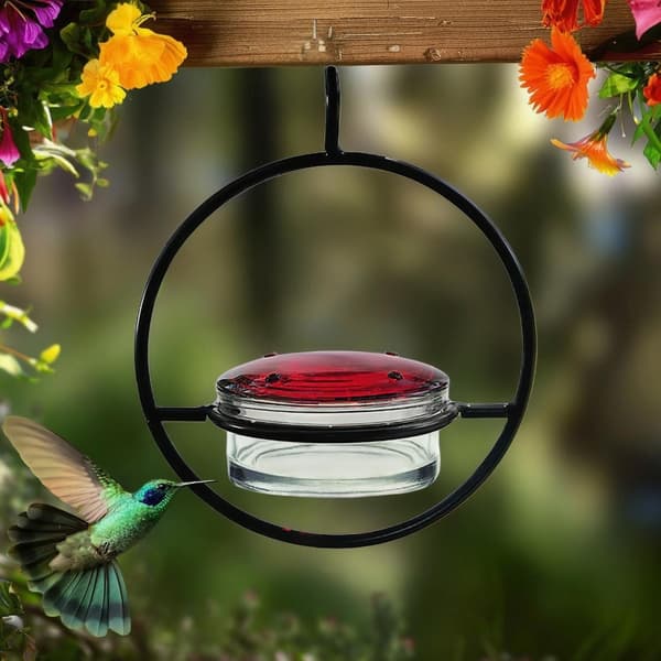 Fuglefoderautomater Haveudsmykning til fuglekiggeri Fugleelsker Kolibrifoderautomater 3 pack