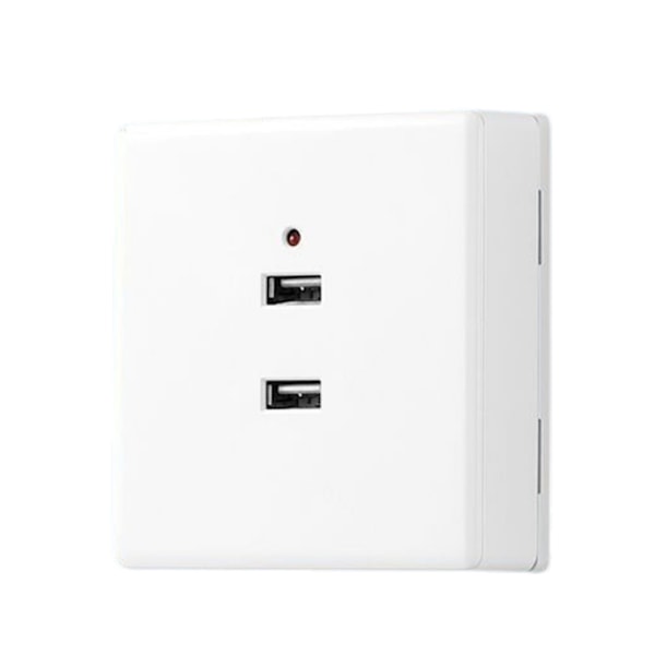 USB Vägguttag Laddare 2 Portar/4 Portar Snabb Laddningspanel för Hemmakontor Hotell null - 2USB