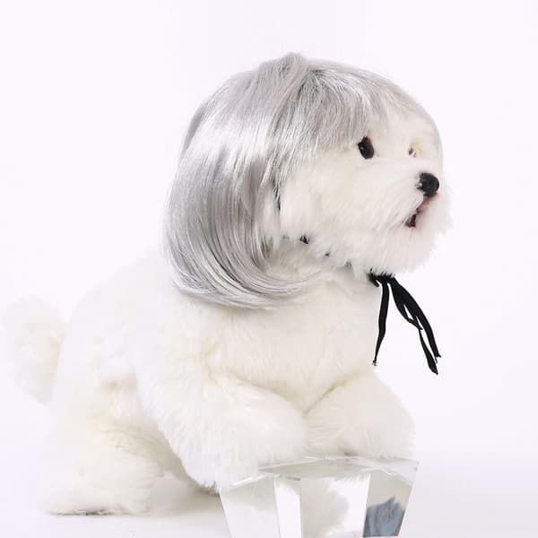 Hodeplagg til hund, katteparykker for Cosplay-fest Ikun-kostyme null - 5