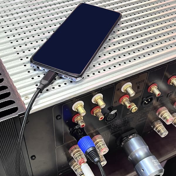 Professionel Stereo Mikrofonkabel, USB Type C Han til 3Pin XLR Han Stikkabel til Lydinterfaces 3m P264B S