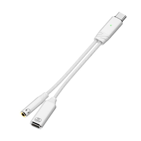 USB C OTG-kabel telefonadapter 2-i-1 Type C til USB 2.0-adapter med 100W lading Grey Type C Type C
