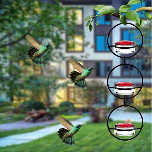 Fuglefoderautomater Haveudsmykning til fuglekiggeri Fugleelsker Kolibrifoderautomater 3 pack