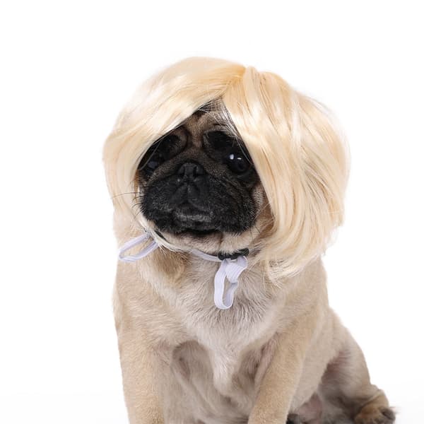 Hodeplagg til hund, katteparykker for Cosplay-fest Ikun-kostyme null - 5