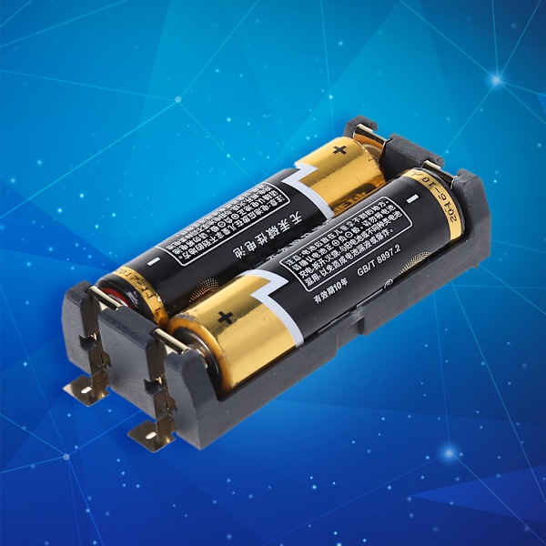 Svart Batterilåda AA SMD Batteriorganisator för Fackbehållare med 2 Fack Vattentät Batterilåda