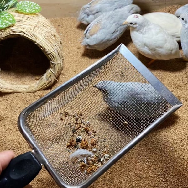 Rostfritt Stål Reptil Sands Substrat Skopa Spade Sifter Nät Metall Reptil Kull Rengörare Skopa för Sandsbädd