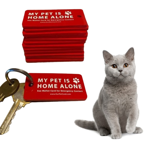 Mina husdjur är hemma Pet Alone Varning Nyckeletiketter Nyckelring Nödkontakt plånbokskort